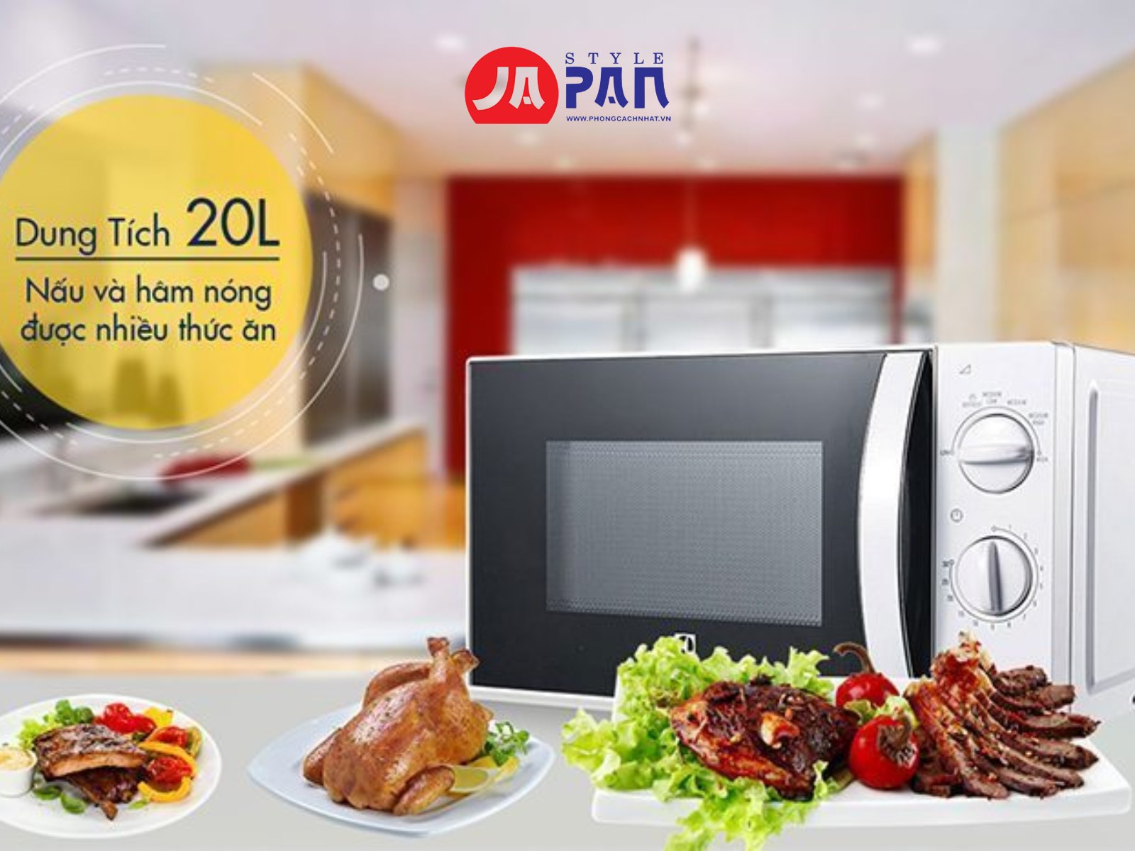 Mách Bạn Kinh Nghiệm Mua Lò Vi Sóng Phù Hợp Nhất 2 Các loại lò vi sóng phổ biến trên thị trường
